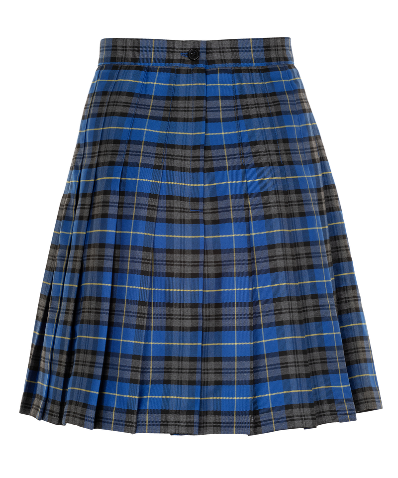 Royal blue top plaid skirt